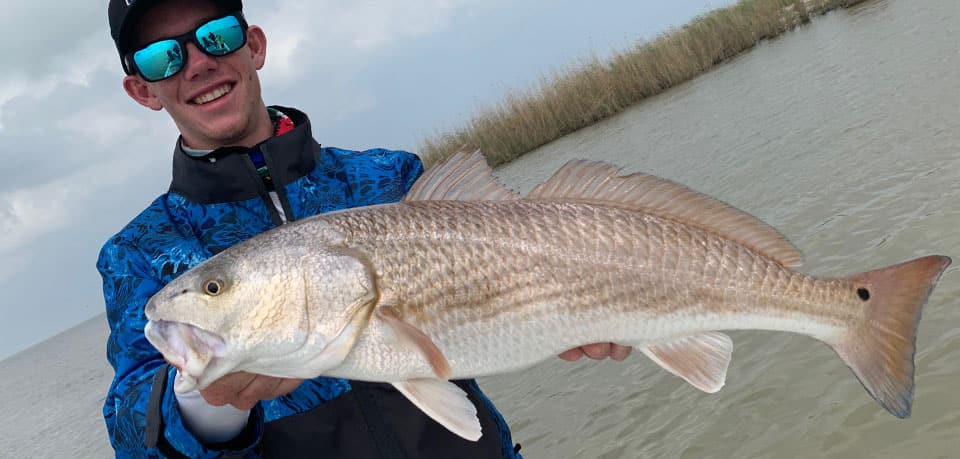Fish Rules - Drum, Red in Texas State Waters