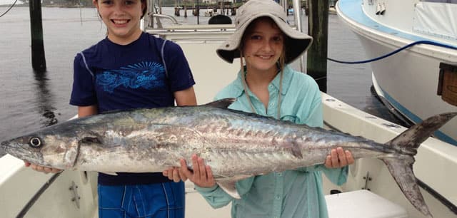 Fish Rules - Mackerel, King in FL Atlantic State Waters