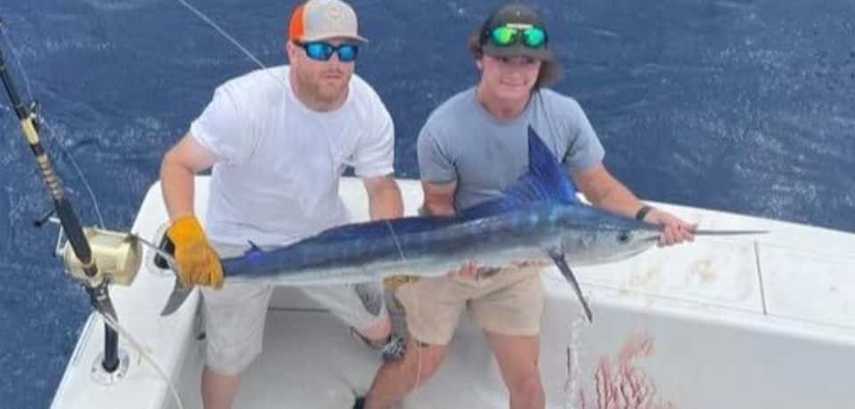 Spearfish, Longbill