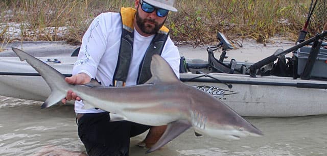 Fish Rules - Shark, Blacktip in FL State Waters