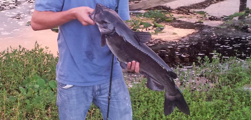 North Florida Catfish Anglers