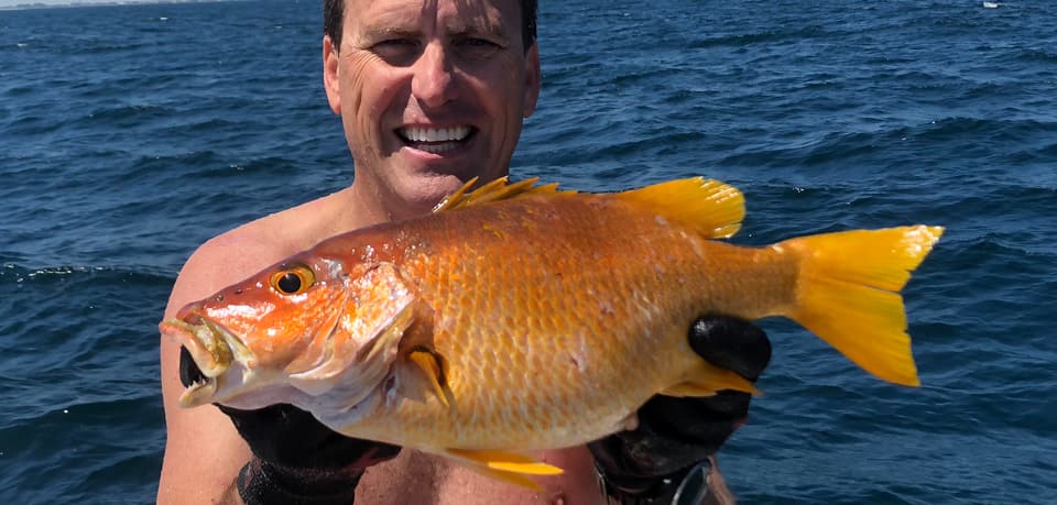 Fish Rules - Snapper, Schoolmaster in FL Atlantic State Waters